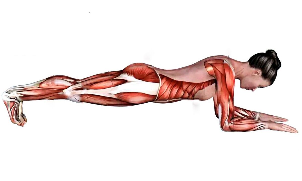 vilka muskler arbetar när planka